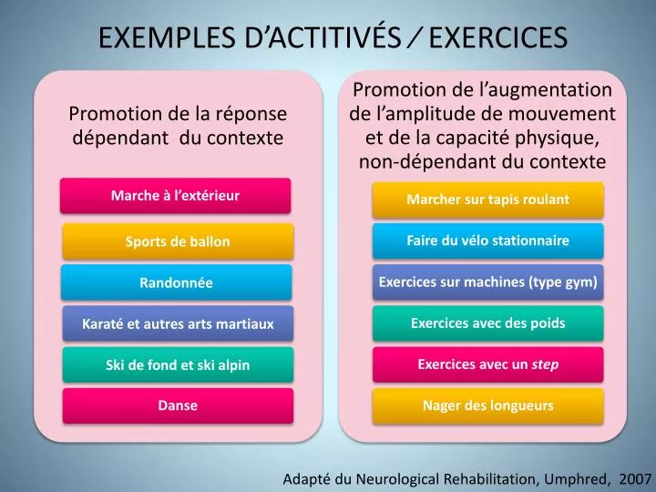 exemples d actitiv s exercices