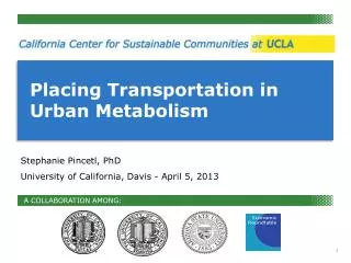 Placing Transportation in Urban Metabolism