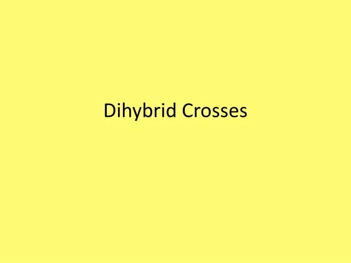 dihybrid crosses