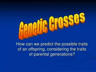 Genetic Crosses