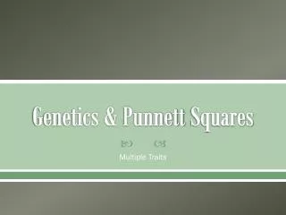 Genetics &amp; Punnett Squares