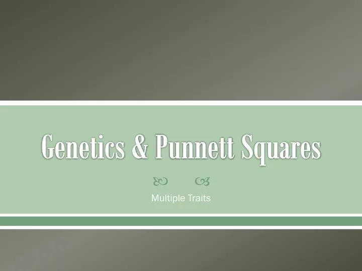 genetics punnett squares