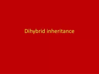 Dihybrid inheritance