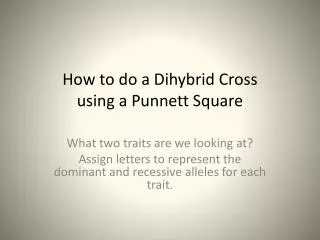 how to do a dihybrid cross using a punnett square
