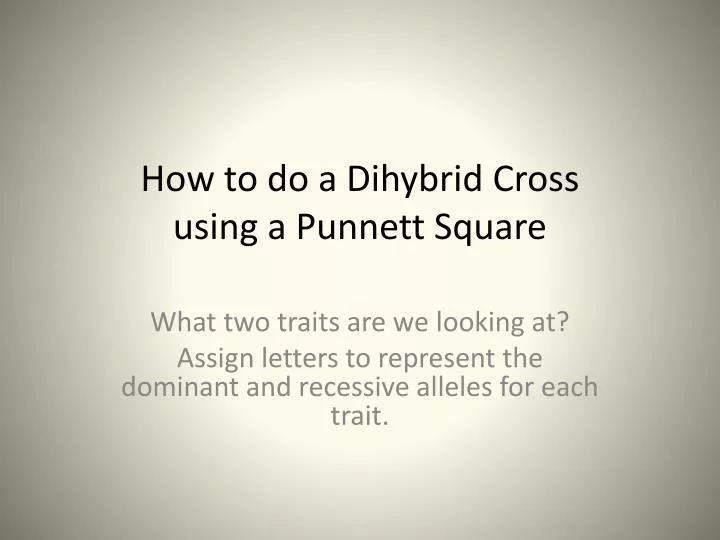how to do a dihybrid cross using a punnett square