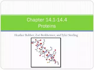 Chapter 14.1-14.4 Proteins