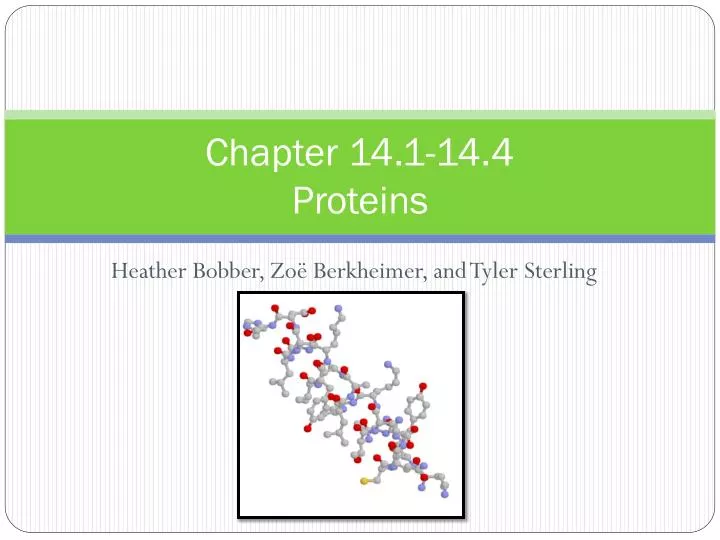 chapter 14 1 14 4 proteins