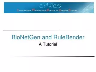BioNetGen and RuleBender