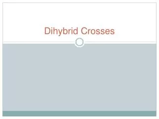 dihybrid crosses