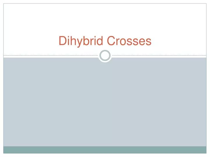 dihybrid crosses