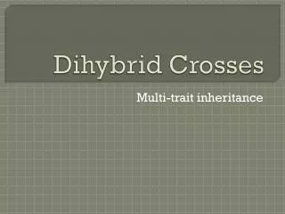 Dihybrid Crosses