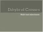 Dihybrid Crosses - slide 1