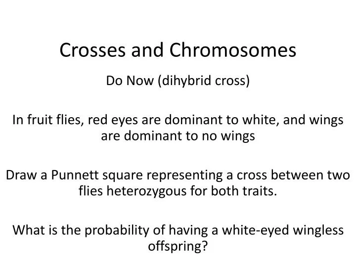 crosses and chromosomes