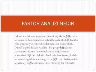 fakt r anal z ned r