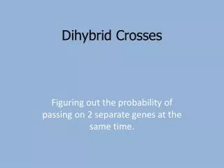 Dihybrid Crosses