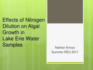 Effects of Nitrogen Dilution on Algal Growth in Lake Erie Water Samples