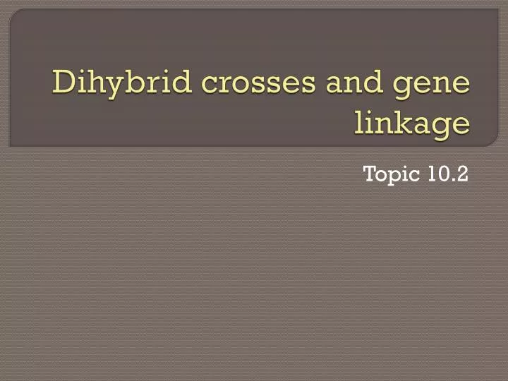 dihybrid crosses and gene linkage