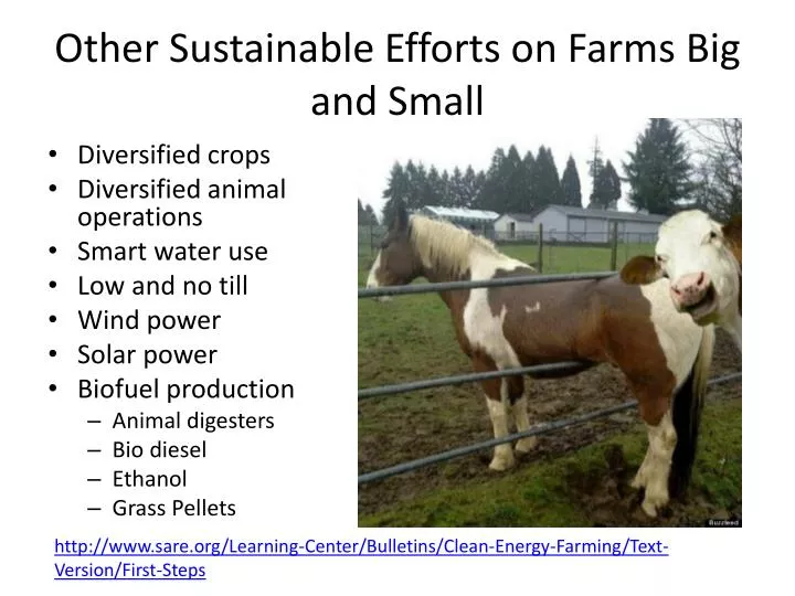 other sustainable efforts on farms big and small