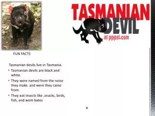 FUN FACTS Tasmanian devils live in Tasmania. Tasmanian devils are black and white.