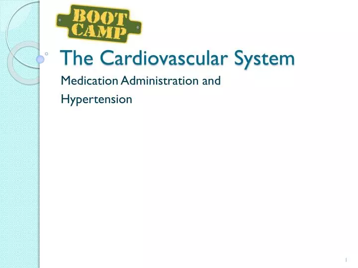 the cardiovascular system