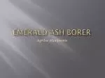 Emerald Ash Borer - slide 1