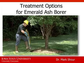 Treatment Options for Emerald Ash Borer