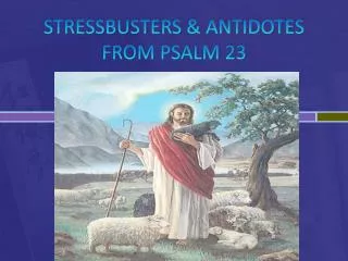 STRESSBUSTERS &amp; ANTIDOTES FROM PSALM 23