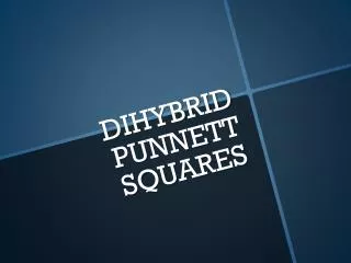 DIHYBRID PUNNETT SQUARES