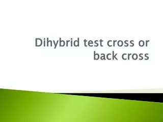 Dihybrid test cross or back cross