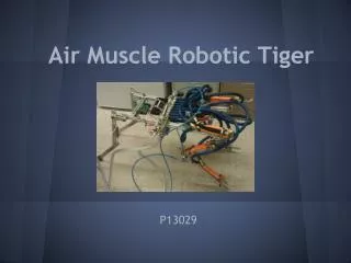 Air Muscle Robotic Tiger