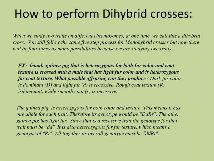 how to perform dihybrid crosses