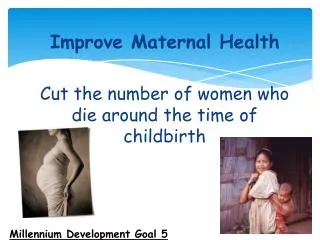 Improve Maternal Health 	Cut the number of women who die around the time of childbirth