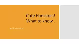 Cute Hamsters! What to know .