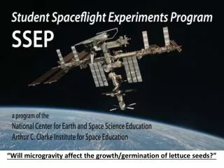 “Will microgravity affect the growth/germination of lettuce seeds?”