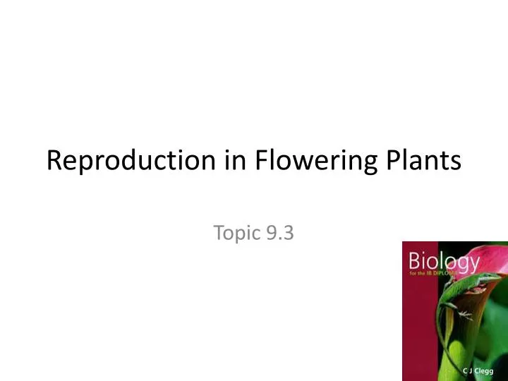 reproduction in flowering plants