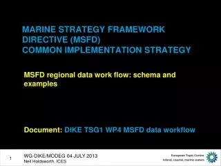 MARINE STRATEGY FRAMEWORK DIRECTIVE (MSFD) COMMON IMPLEMENTATION STRATEGY
