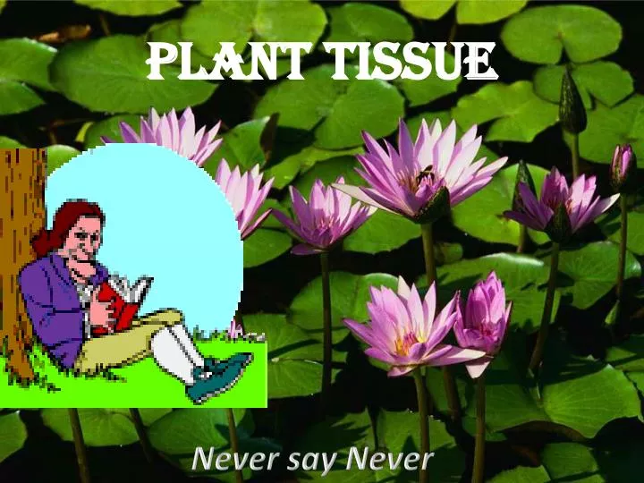 plant tissue