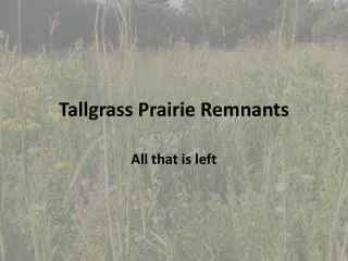 Tallgrass Prairie Remnants