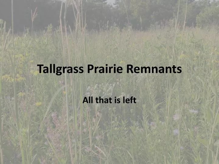 tallgrass prairie remnants