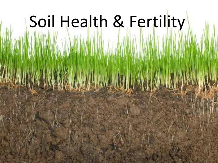 soil health fertility