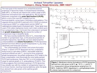 Archaeal Tetraether Liposomes Parkson L. Chong, Temple University , DMR 1105277