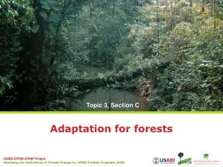 Adaptation for forests