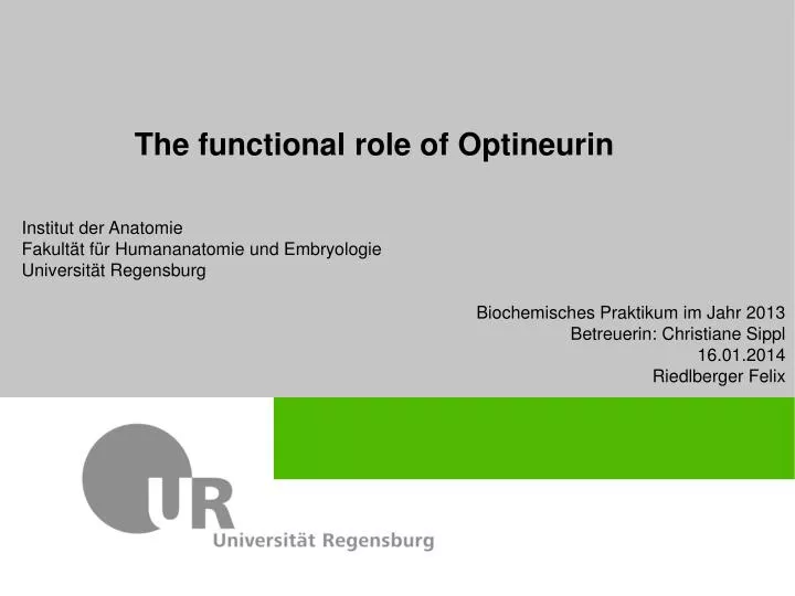 the functional role of optineurin