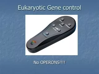 Eukaryotic Gene control