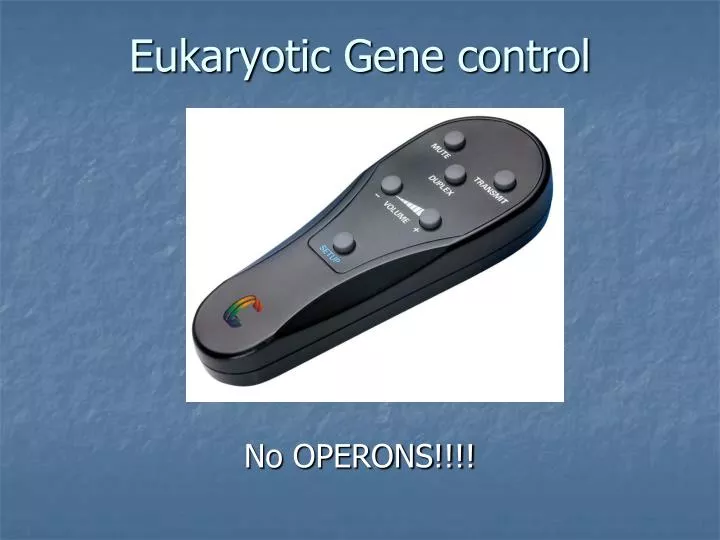 eukaryotic gene control