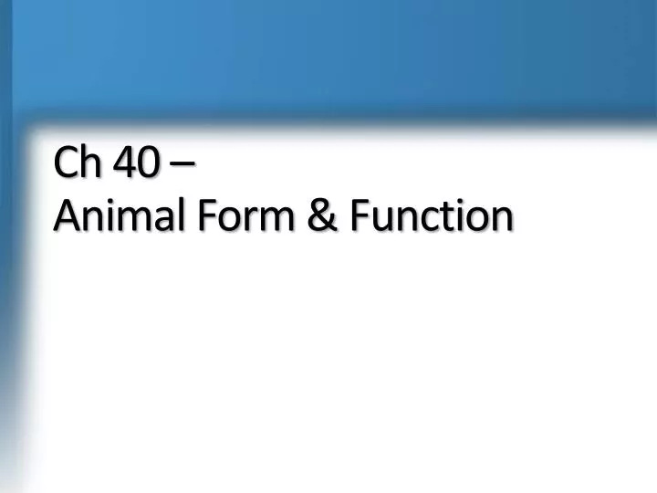 ch 40 animal form function