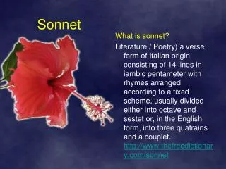 Sonnet