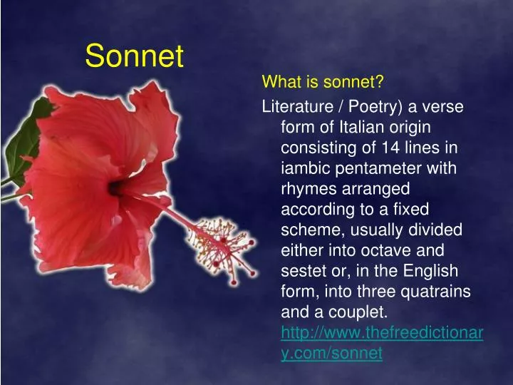 sonnet