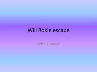 Will Rokie escape
