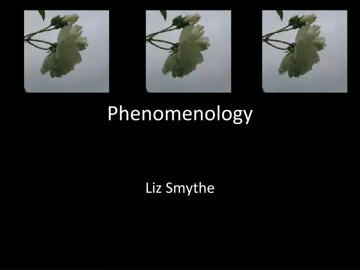 phenomenology